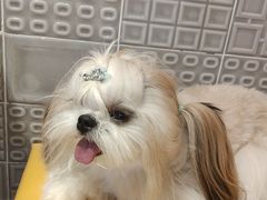 -四季喧黔味豆米火锅(万达广场店)