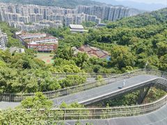 -福道
