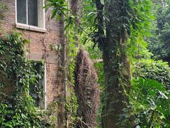 -中国科学院西双版纳热带植物园