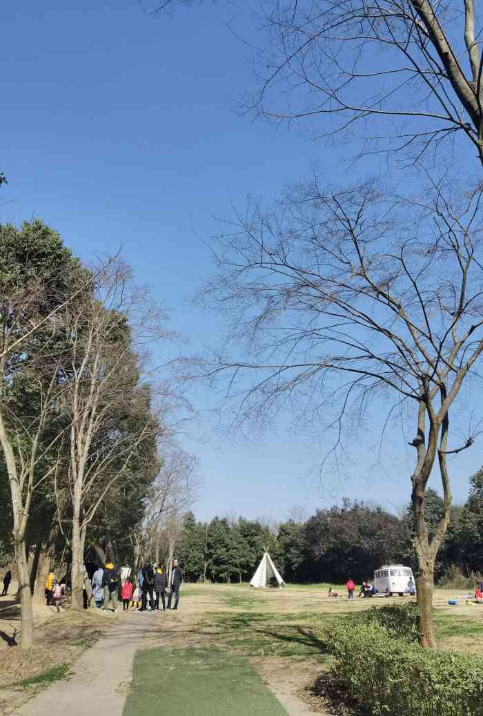 大榆(三圣乡店)-"[薄荷]环境:环境的话确实和网上没差 .