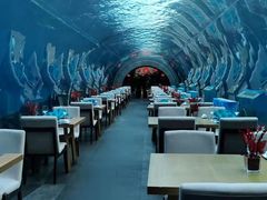 -涛·海底餐厅·美人鱼·自助餐·海底隧道(三亚海棠湾洲际度假酒店)