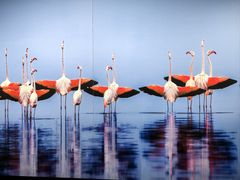 -罗红摄影艺术馆