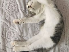 -美联众合24小时·皮肤科·外科·全科诊疗中心(华苑分院)