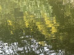 -中山市树木园