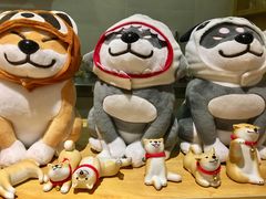 -柴务处·柴犬主题狗咖