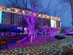 -远洋未来广场(育慧北路店)