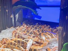 -加餐海鲜自助(宝龙一城店)