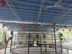 -广东茂名森林公园