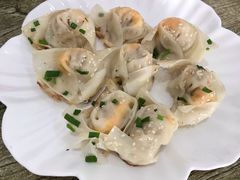 蛋黄鲜肉煎馄饨-乌镇姐妹特色小吃(银杏公寓店)