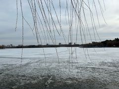 -长春市南湖公园