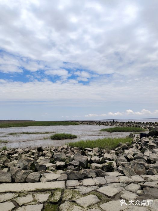 南汇嘴观海公园图片