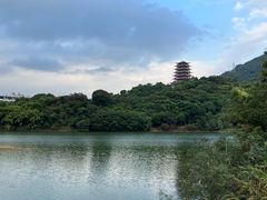 -清溪大王山森林公园