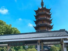 -红梅公园