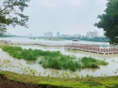 -南宁南湖公园