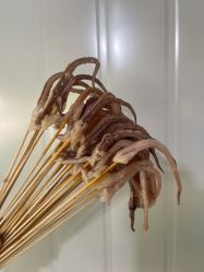 -上美四季动物农场