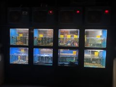 水产区-蓝鲸(国浩路店)