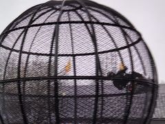 -吴桥杂技大世界