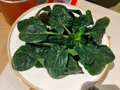 -海底捞火锅(劲松店)