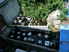 -茗荔园农庄(大涌店)