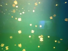 -福州罗源湾海洋世界旅游区