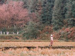 -常德桃花源景区