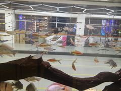 -弓舍射箭俱乐部(高新总店)