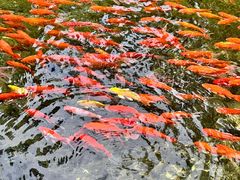 -水磨沟公园
