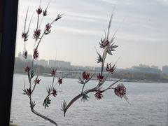 -韩家民俗村