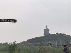 -永定河休闲森林公园