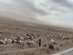 -青海湖国家重点风景名胜区
