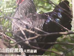-黑鸡小馆(金源店)