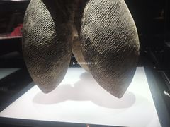 -晋国博物馆