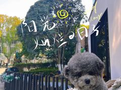 -J Create城市露营咖啡·简餐·宠物(上海动物园店)