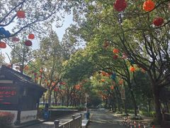 -鲁镇