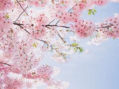 -锦江之星(淮安万达广场健康东路店)