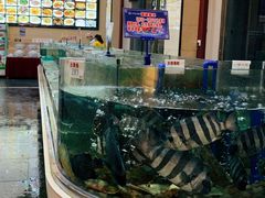 水产区-乐在集市海鲜大排档(平潭店)