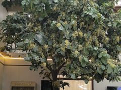 -忆江南·生态餐饮宴会酒店