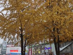 -黄兴南路步行商业街