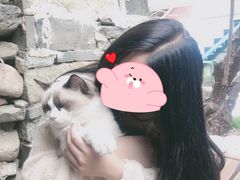 -喵屿·大理花园猫咖