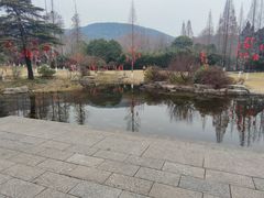 -习家池