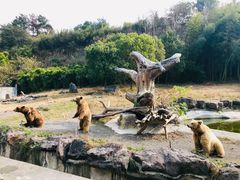 -宁波野生动物园