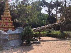 -瑞丽独树成林风景区