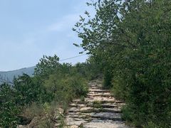 -阳台山自然风景区