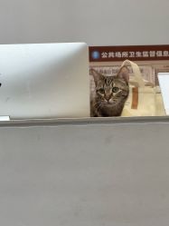 点击看大图 -KS COLOUR漂色·染发·画染