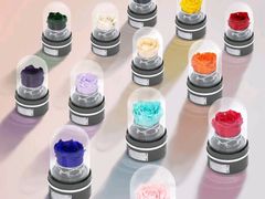 -ROSEONLY诺誓(广州K11店)