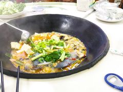 -老农民柴火灶鲜鱼馆