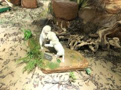 -陕西自然博物馆