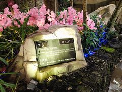 -海口观澜湖火山温泉谷