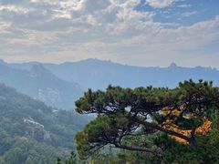 -崂山九水游览区