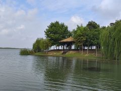-金沙湖旅游度假区
